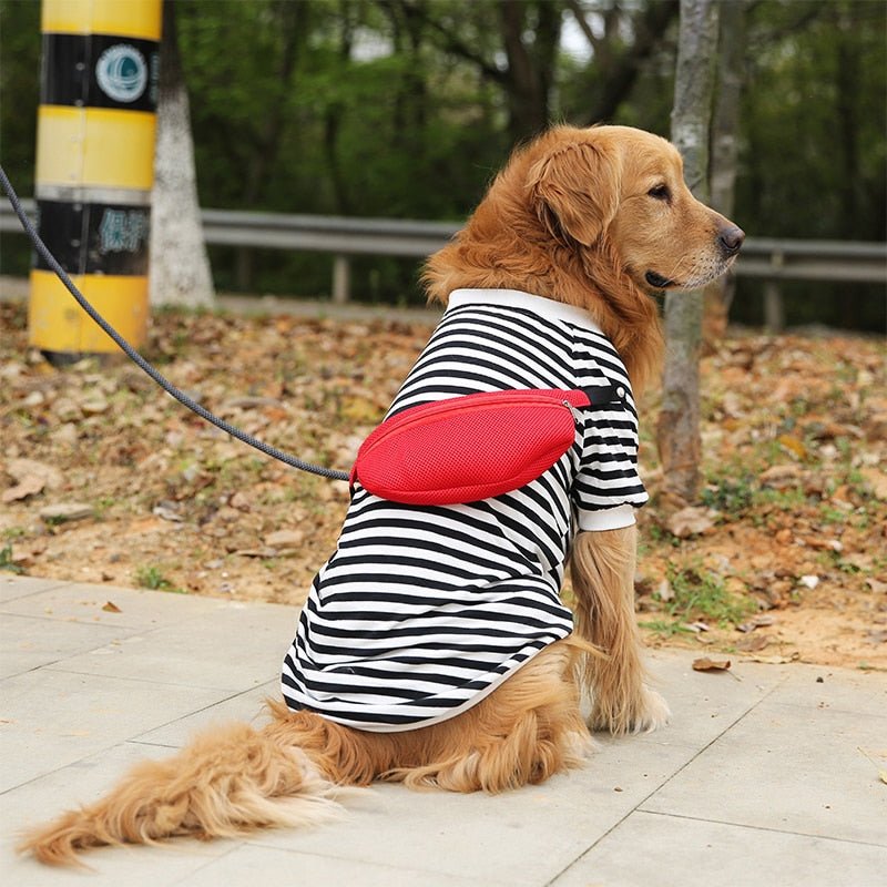 Camiseta para Cachorro | Pets de Porte Grande